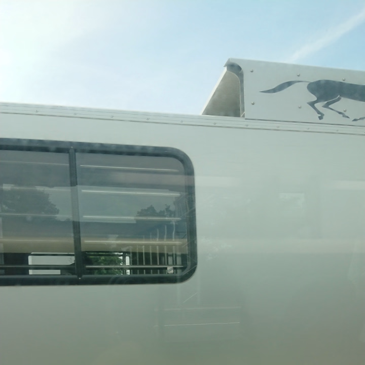 道中、競走馬の輸送車と並走する場面もありつつ出勤～。先程ご来店してくれた方、楽し～お時間感謝です♡

 写メ日記に目を留めてくれた方、これからのお時間ご都合良かったらぜひ寄ってみてね。仲良しご縁求むっ♡