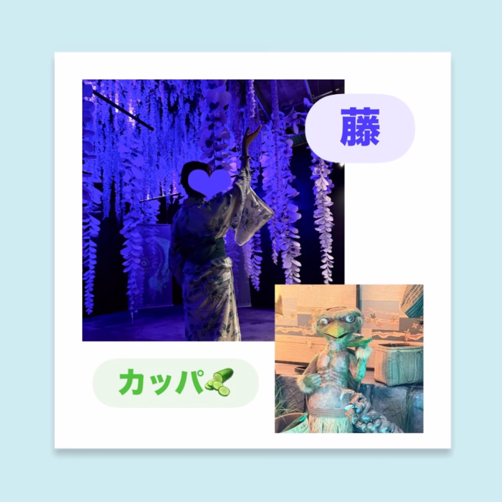 おはようございます☀️

日本舞踊で代表的な踊り
「藤娘」というものがあります💗

使う道具も多くて
小さい頃
練習に手こずったことを
思い出しました😂

そんなお藤さまは
霊性高い植物のひとつ✨

鬼と戦う大人気なアニメでも
傷を癒す所として
よく登場してましたね🤭

強力な浄化効果と魔除け
また健康長寿、子孫繁栄など

とっても好きな植物のひとつ☺️🫶

実家にも学校にも
植わってたので
思い入れが強いです💗


昔からの言い伝えは
比喩も含まれていることも
ありそーですが🤭

妖怪も植物の効果も
目には見えないけど、
量子力学的にも(≠第六感)として
感じるものが
あるのかもしれませんね☺️

好きな世界観( ¯꒳¯ )

あなたも次元合っちゃうと
妖怪見えちゃうかも・・( *¯ ꒳¯*)ﾑﾌﾌ

妖怪展
程よく面白かったです☺️🎶



そんな感じで
本日キャンセル出ました🫢
空き予定は
お店へお問い合わせください🐈‍⬛🩵
ご予約/ご来店お待ちしております☺️🫶