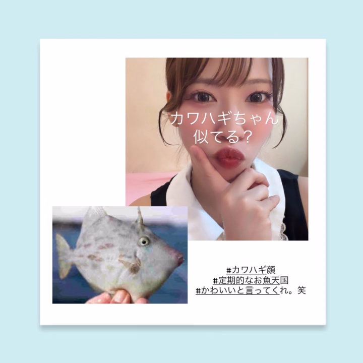 おはようございます☀️

【月1の顔宣伝| ᐕ)】

顔宣伝になってるかは
謎ですが( ¯꒳​¯ )ᐝ

長年通ってる整体師さんに
「カワハギ！！」

と言われます😂😂

似てるかな(´>∀<｀)ゝ？

カワハギは
やっぱりキモ醤油が最高ですよね💗

お魚🐟不足だあ\( ᐖ )/\( ᐛ )/笑


そんな感じで
本日の空き予定は
お店へお問い合わせください🐈‍⬛🩵

ご来店、ご予約
お待ちしております🐾