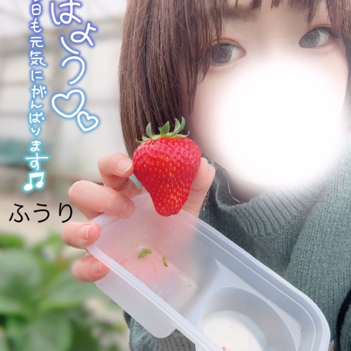 おはようございますこんにちはこんばんは
ふうりですっ🦕🫧

ひさびさ投稿あんどひさびさ出勤〜😌

今日は元から予定立ててくれてたお兄さんいてとてもワクワク楽しみだなぁ((o(｡>ω<｡)o))

お写真のとおりふうさん いちご狩り行ってきた〜🍓🍓✨🍓

それまでもいろんなとこ旅行とか遊び行ったからたくさんおはなししたい🚗³₃

今日も元気に待ってます𛰙᭜𖫴𖫰𖫱𖫳𖫲𖫲𖫳𖫴𖫰𖫱꛰ ᭜𖫴𖫰𖫱𖫳𖫲𖫲𖫳𖫴𖫰𖫱꛰ಣ

そんじゃ
またねーー

ps.髪切って染めたよん