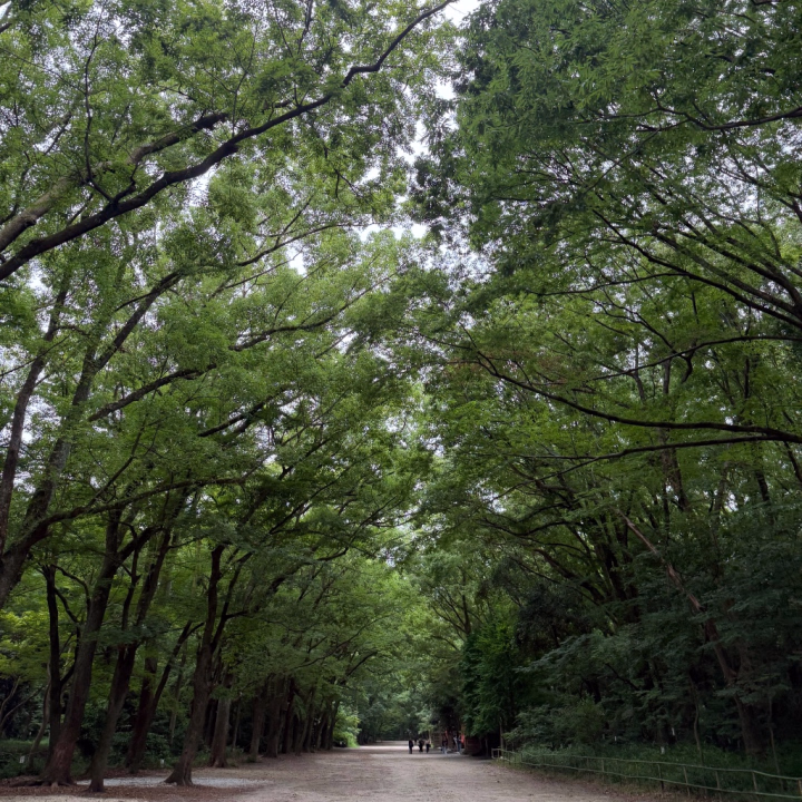 お疲れ様です🌈

今日はたくさん緑に囲まれて、
のんびりリフレッシュしてきたよ〜🌿☺️

最近バタバタしてたから、
自然の中でゆっくり過ごせてすごく癒された🥹💕

やっぱり緑っていいね🍃

空気も気持ちいいし、
なんだか心も体も浄化された気分🤭✨

こういう時間って大事だなぁって改めて思いました💭

しっかりパワーチャージできたので、
明日からまた元気に頑張ります💪🏻🩷

明日は10:00〜17:00で出勤してるよん🎀

お天気はあんまり良くなさそうだけど、
そんな日こそ一緒に楽しい時間を過ごせたら嬉しいな☺️🫶🏻

お兄さんと一緒にいたら、
気持ちは晴れになる気がする☀️💕

お時間合うお兄さん達、
ぜひ会いに来てね🥰

待ってるよん🤍