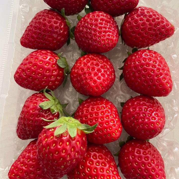 果物大好きマンのしょうです！

お兄さんのも食べさせに
来てくださいね🍌💕