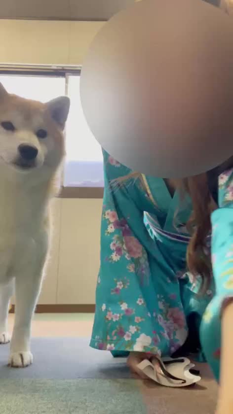看板犬のアラシ🐶💗
一緒に遊んでもらいました💗♪

❁*:.｡.✽.｡.:*❁

え〇〇な日記や、お客様の声は
ヒメチャンネルからご覧くださいませ…💗

❁*:.｡.✽.｡.:*❁

💓直近の出勤💓

⚫︎乙姫宴 米子店
6月2日〜10日

⚫︎ハピネス&ドリーム 福岡店
6/12   8〜24
6/13   8〜24