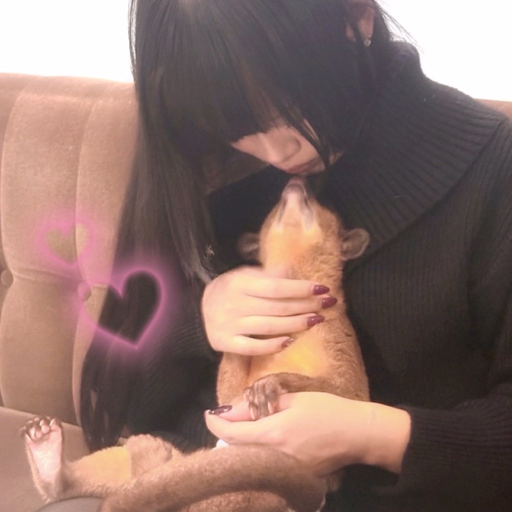 休みの日何してるんー？って
聞かれることあるけど基本的に
動物と戯れてる💭💞

今日も動物カフェ行って
蛇さん触ってきた🐍💓