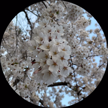 ちか ハピネス吉原