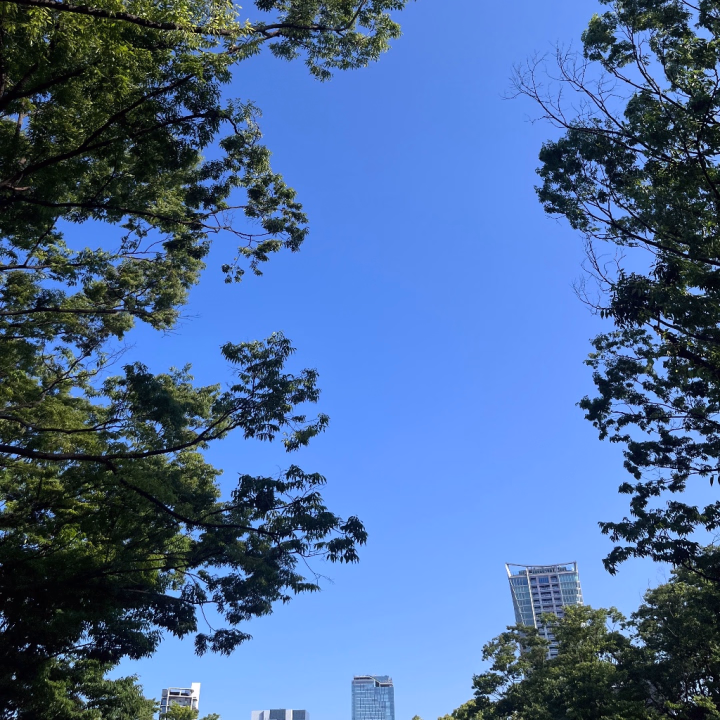 こんにちは🌱

昨日も今日もめちゃくちゃ天気がいいー！
暑すぎる。🥵
熱中症気をつけてください💪🏻

今日は18-24時出勤です👶🏻🎶
待ってます🫶🏻