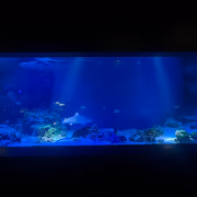 あおな ハピネス東京・五反田