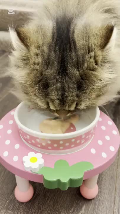 大好物のチュール💓

うちの子は好き嫌い激しめなんです！
喜んでくれるかなぁと思い、いろんなおやつを買っても、たべてくれないことも、、、

ちなみにおもちゃやベッドなども気に入らないと一切使ってくれません笑

これ結構高かったんだよなぁっておもちゃはそっちのけで、ペットボトルの蓋を転がして夢中になって遊んでたりとか、、笑
不思議な子です🐈

そんなこの子も、チュールだけは飛びついて食べてくれます💓
食べてる姿は、ずっと見てられるぐらい癒されるんですよ☺️
皆さんにも幸せなお裾分けです💓

皆さんの好きな食べ物はなんですか？🥺