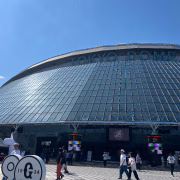 一条