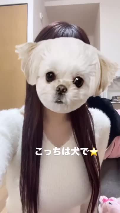 愛に来るしか❓