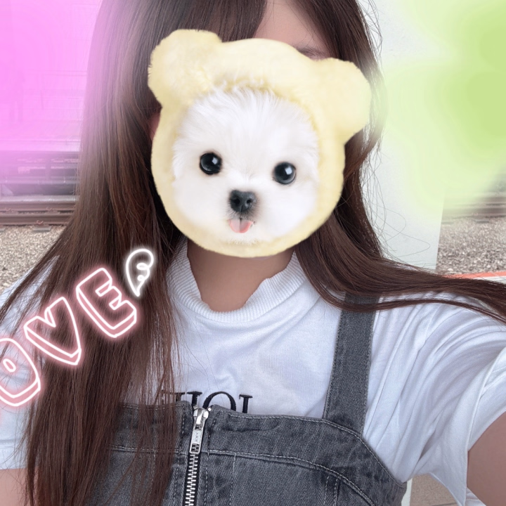 こんにちは〜
のあんです🧡

お天気曇ってますが、のあんは変わらず元気です😉
お兄様方午前中お疲れ様でした〜😌
あと半日一緒に頑張りましょ〜！！✨

今日のお洋服お気に入りすぎて、すぐ着たいから早めにお洗濯を頑張った😆
ぜひぜひ、みに来てくれたら嬉しいなぁ〜💕

最近のマイブームはガチャガチャでクレヨンしんちゃんを見つけること！✨
とくに！めじるしチャームのしんちゃんは見つけたい😍
やりたいんだけど、人気なのかいつも売り切れなの、、、(´･ω･`)
売ってるところ見つけて教えてくれたら嬉しいなぁ〜🫣✨

12:00〜
出勤してるのでお時間合うお兄様方一緒にお風呂入りましょ〜💕
お兄様方のことお待ちしてますね😘