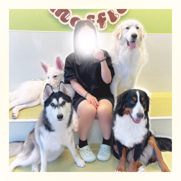 犬派？猫派？

いいえ。

動物が好き。