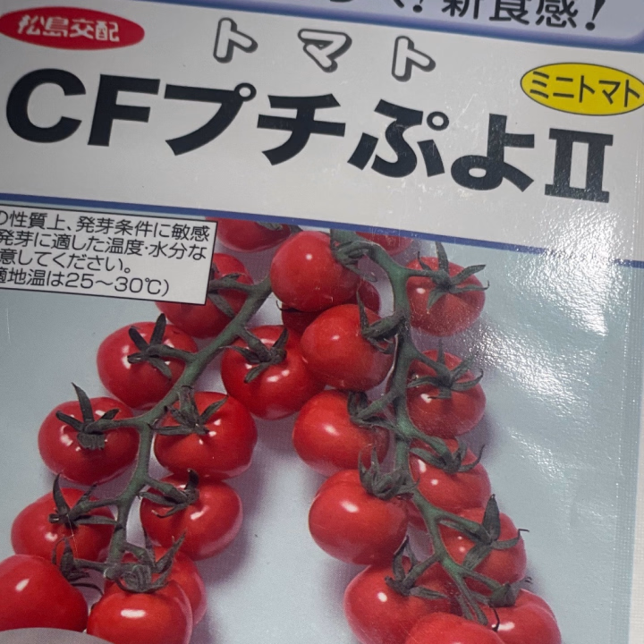おはようございます、いとはです🙂‍↕️🫶


ハピネス出勤しました！
本日お約束をいただいておりますお兄さま
お会いできるのを楽しみにしております🥳



さて最近、とーーーっても欲しかったものを手に入れました❣️


それが写真の
ミニトマトの種🍅笑

ちょっと珍しい品種で
皮がとても薄くデリケートだから流通には向かないけどとてもおいしい！らしい。

と、ずっと気になっていたもの👉👈

ぷちぷよって名前が可愛いですよねぇ。

もうそろそろタネ撒いてもいいかなぁ？
枯らさずいっぱい収穫できますように🙂‍↕️🙂‍↕️

写メ日記が観察日記と化しそうです🤞


というわけで本日は21時まで！

ご案内可能なお時間もまだございますので
引き続きお問い合わせお待ちしております☺️🤍