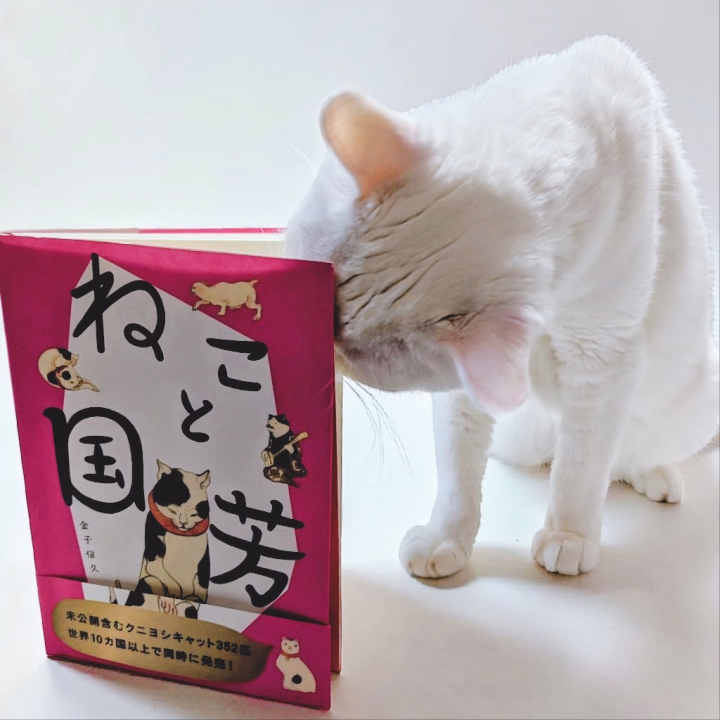 🌿猫についての追記です🐱💕

猫は私の幼少期から今日に至るまで、世代交代をしながら途切れることなく一緒にいてくれる最高のパートナーです🥰💖
ただ可愛いだけではなく、私にとっては大切な家族であり、幸せそのものでもあります🌸✨
猫との生活のきっかけは父親でした☺️🍀
幼い頃、父親が捨て猫と出会いました🐱🤍その子も白猫でした✨
見かねた父親は家へ連れて帰りましたが、母親は「猫なんて飼えないから戻してきなさい」と言いました💦
父親は一度戻しに行ったものの、可哀想で置いて帰れず再び連れて帰ってきたのです🥹🤍
そこから猫との暮らしが始まりました🌹✨
母親は責任感が強く、「できないことはできない」「引き受けたことには最後まで責任を持つ」という性格でした🍀
一方で父親は優しく、困っているものを見過ごせない人でした☺️🌿
私はそんな父親が大好きです💕
そして父親が白猫を連れて帰ってきてくれたおかげで、今日まで猫と一緒に生きてくることができました🐱🤍
猫と暮らす日常は、私にとって本当に幸せです🥰🍀本当にです☺️
そして、毎日こそが私の夢そのものなのであります🌸