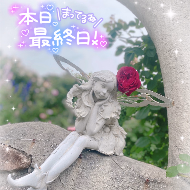 おはようございます🌞
本日🌟最終日🌟
良い締めくくり出来ますよーに〆
🎀9:00-last🎀