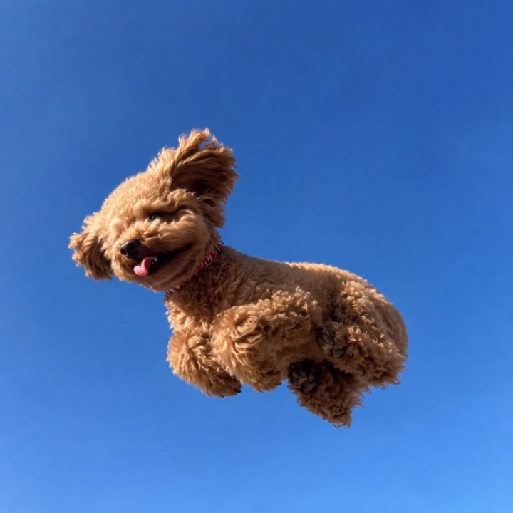 おはようございます🌞🌷

今日はなんか風が強くて寒い🌪️
でも朝から素敵なお兄様達が会いに来てくれて、すぐポカポカになれました💖
最近1日の終わりにラーメンが食べたくなりすぎて、2日連続食べちゃった🍜
しかもラーメンにご飯を合わせるのが好きで、もはや麺よりご飯をスープと合わせて真剣に食べてます😚

マットでカロリー消費しよっと🎶

写真はAI加工されたうちのわんこ🐶

週末はご予約埋まりやすいですが、会いに来てくれるの待ってます💖