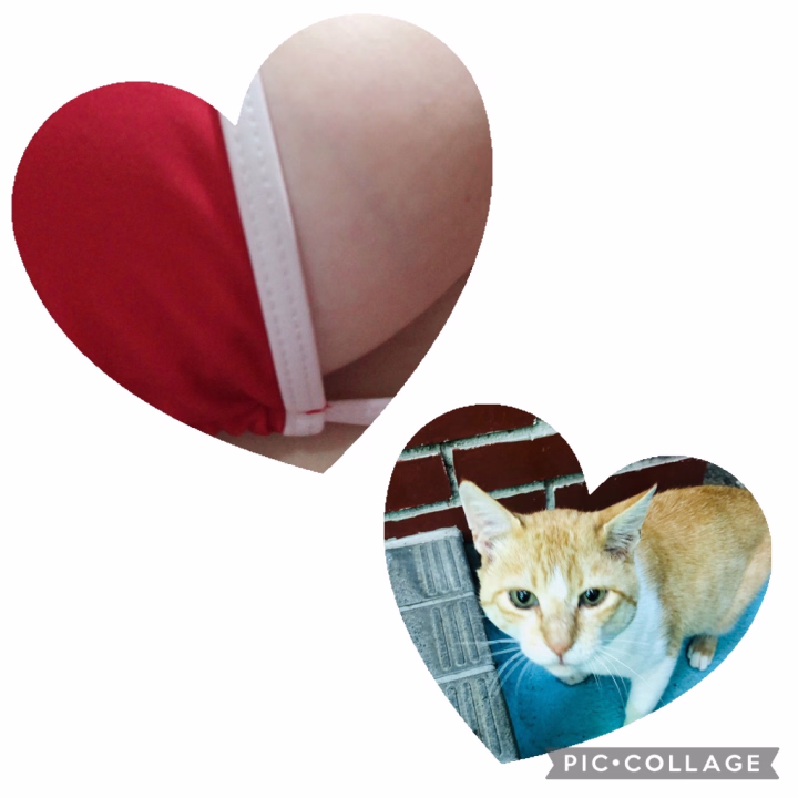 こんにちは♡

今日は21時まで頑張ります😊✨

今日は最終日なのでりかに会いに
来てくれたらとても嬉しいです🥰💕

◯ットとマッサージが好きな方🥰
キス大好きな方💋🥰
イチャイチャ好きな方🥰

一緒にヌルヌルたくさん◯っちなこと
したいなぁ💗

コンビニ行く時にいつも猫のおやつ
持ち歩いてて昨日やっとおやつあげる
タイミングがありました😻💖
ちゃたくん可愛いなぁ❤️

りか⭐︎