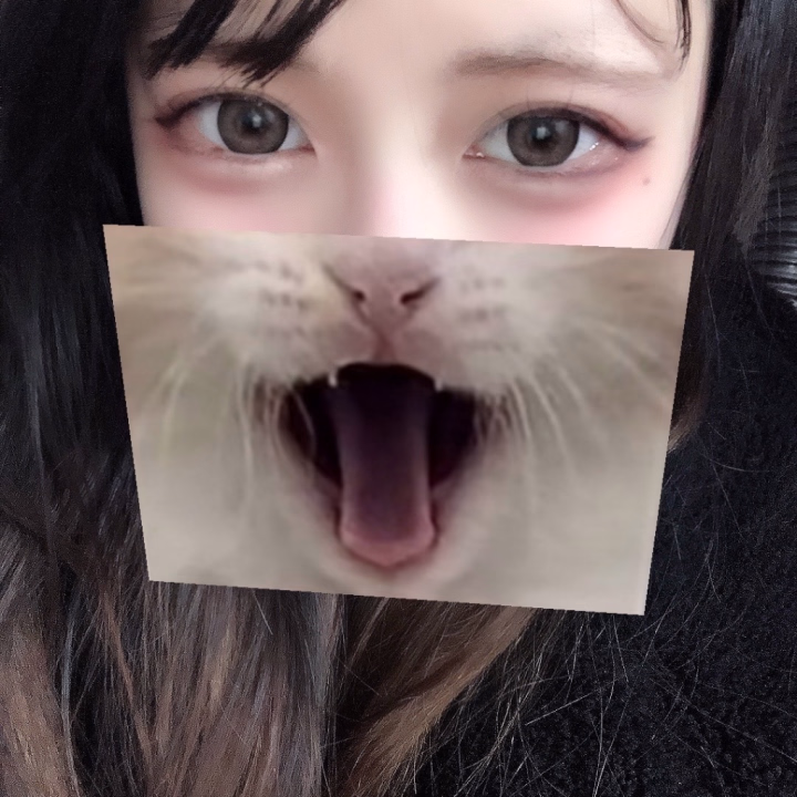 おはよ〜🔅

前髪伸ばすか切るか迷ってて微妙な長さすぎる…💭

前髪ある子とない子どっち派が多いんだろ…💭

教えて〜〜〜ᐡ⌯ ·̫ ⌯ᐡ

今日は14じまで！
ご予約お早めにっ！
お待ちしてますᐡ⌯ ·̫ ⌯ᐡ