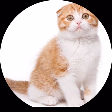 にこる ハピネス五反田