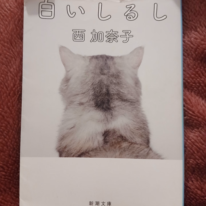 西加奈子さんの

『大人になるというのは
一人で寝ることじゃなくて
眠れない夜を過ごすことなんだ』

がとても好き。

あ、本日10:00～16:30まで出勤しています。

あいこ🌸
