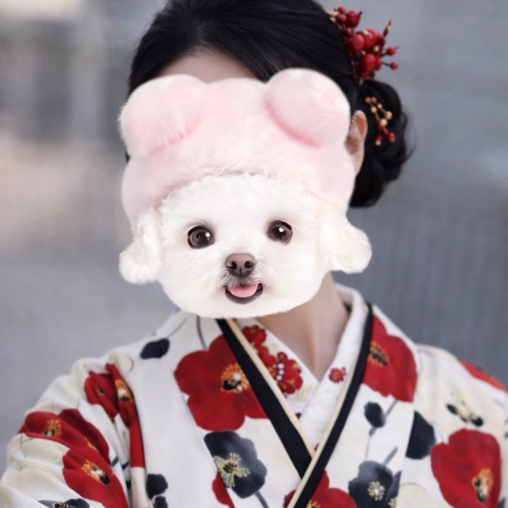 めちゃくちゃ久しぶりに日記するのでこれで合っているのかわからないのですが‥笑

お久しぶりです、少し前に無事に大学を卒業しました！

成人式にお着物を着ていないので袴が新鮮ですごく楽しかったです🩵

無事に卒業できたのもお店に来てくださるお兄様達のおかげです、本当にありがとうございました😭

気が抜けて出勤サボりがちになっていて本当に申し訳ないです🙇

このまま進学する予定なのでまた忙しくなってしまうのですが、今年はなるべく、ちょこちょこ来るようにします🙇

引き続きまゆかをよろしくお願いします🩵