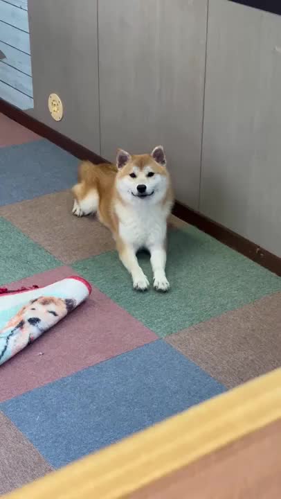 朝から可愛い嵐部長！


今日も一日頑張れそうです‼️



出勤しました♡お待ちしてます☺️🤍



うゆ