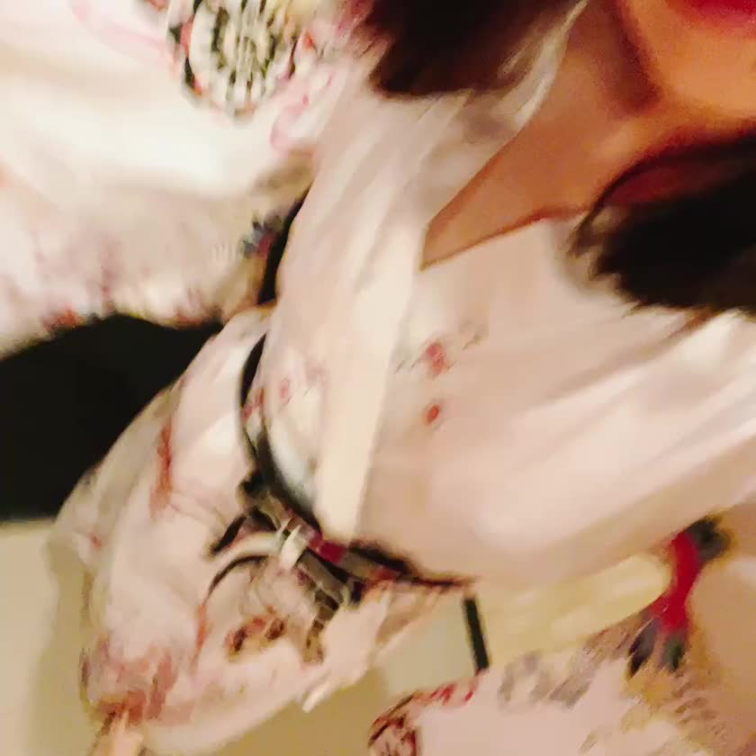 おはようございます☀️
みゆかです🫶

天気予報だと晴れマークだったのにうっすら雲が掛かったような雰囲気…山陰独特をあらためて感じました☺️

さて、気づけば米子も5日目です🥲始まってしまうとあっという間ですね🥲
そして最終日の25日ですが、出勤をあらかじめ9-19時としていましたが、お客様のご予約等がありましたら時間を延長して24時までにしようかと思っております！

その時間空いてたらな〜と思ってくださっていた方がいらっしゃったら、トークからでもご相談いただけると喜びます🫶

ではでは今日も力みすぎず、ほどほどに頑張って参りましょうね🫶私は全力だ〜！！笑

🍑美優香🍑