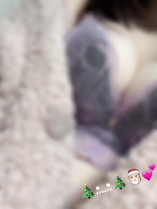 こんばんは❗️
久々の動画日記です🎥

今日は夕方からの出勤でした✨

いつもより時間が短くなってしまいましたが、お誘いくださったお兄様方、ありがとうございます😊💖

明日はクリスマスイブ🎄✨

仲良し様とお話させてもらったとき、ただの平日だから…！とも聞いたのですが、
せっかくから少しだけ楽しい時間を過ごしたいなと私は思っています🥳

夜の時間帯、1人だと結構寂しいので、普段の日と同じ気持ちでぜひ会いに来てください❣️笑

私だけは特別な日と思っているので🙈♩

あ！それと26日なのですが、
ネイルの予定があり、その後17時〜20時は出勤可能となっています🥰

お仕事終わりに枠を開放するので、今年最後の金曜日の夜、一緒にすごしてくれる方募集中です🫶🏻🫶🏻

明日以降もたくさんのお誘いお待ちしていますね🎁

この日記見てくださったお兄様！
マイガールの登録と、みたよ押していただけたら嬉しいです💖


🍑もも🍑