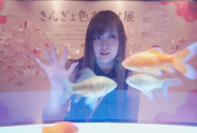 夏の思い出水族館🐬