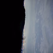 はな