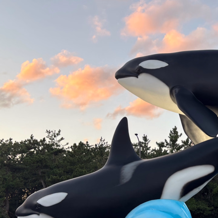 行ってきました(𓈒ʚ̴̶̷̷̥ ⩊ ɞ̴̶̷𓈒)
本指名様優先で姫予約いただいたお兄様にはお土産お渡しします(𓈒ʚ̴̶̷̷̥ ⩊ ɞ̴̶̷𓈒)
そんなに数多くないのですぐ売り切れたらごめんなさい(𓈒ʚ̴̶̷̷̥ ⩊ ɞ̴̶̷𓈒)