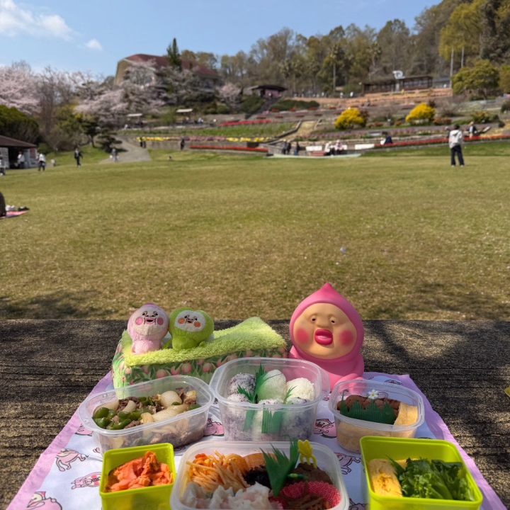 お休み中のピクニック🍙🌸