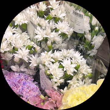 うの　ハピネス東京五反田