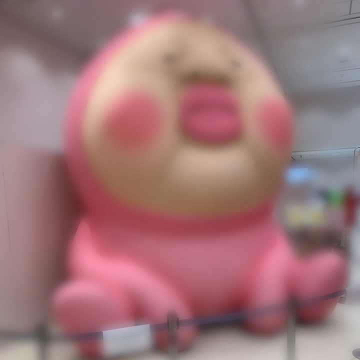 こないだあさひさんに教えてもらったところに昨日行ってきました！！！！！終始大興奮🩷💕🩷💕
巨大のこの子が居ました❣️はるかが1番好きなのはスモモノウチ♡♡♡