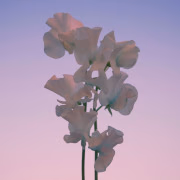 雪乃下るき