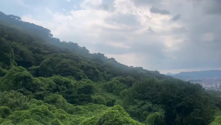 鳥の声が聞こえるのですが
皆さんにも緑のマイナスイオンを
お届けしたいと思います🌳⛰️🦜