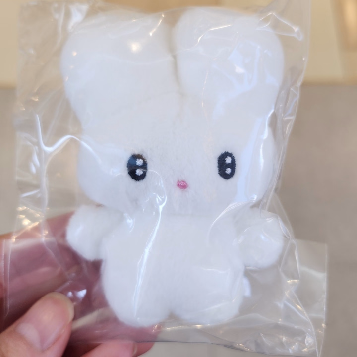 こんばんは〜
最近ね、しりみみうさぎが好きすぎる🐰
この写真のキャラね🤞
しかも一発で欲しいの出たわ！最高すぎる🤦‍♀️🩷

そういえば…
就職先、無事に決まりました！！
やったー！一安心です😌✨
次の仕事も自分なりに頑張ります！

そして、明日出勤します！
たくさんの人と出会えたら嬉しいな😌