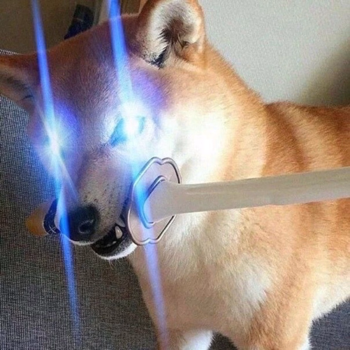 ⚔️最終決戦⚔️

挑戦者待つ🐕🩸

居合切り…=͟͟͞͞╰;.:╯    =͟͟͞͞( 　`ᾥ’)っ🗡️ﾊﾟﾁｰﾝ

22時まで⏱‪𓈒𓏸