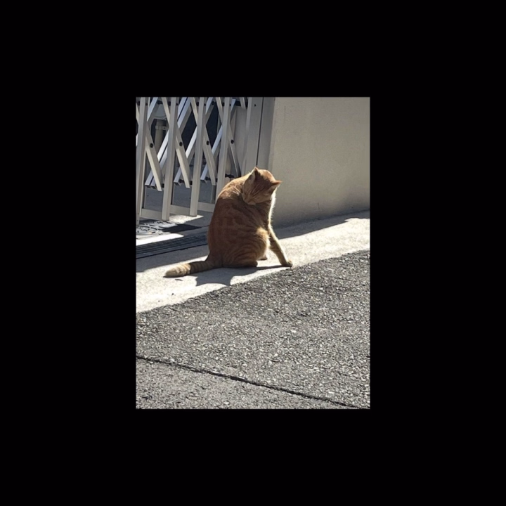 こんにちは
なのはです

風邪で出勤予定全部潰れてます🥺
本当にすみません🙇‍♂️

また回復したら出勤するのでよろしくです🍀