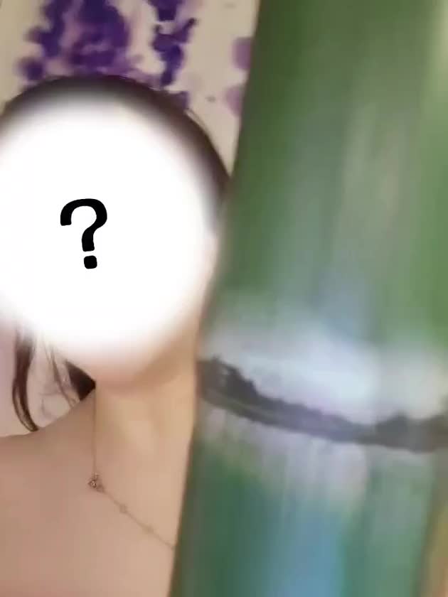 竹と

絡み合いました❣️