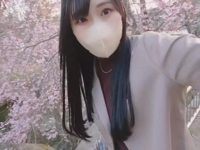 サクラクラクラ