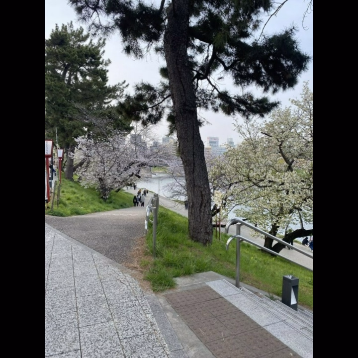 まきです🍀

今日来てくれたパネル指名のお兄さん、本指名のお兄さん ありがとうございました🙇🏻‍♀️

4/2 のお礼日記です💌

60分 パネル指名のお兄さん
綺麗系が好きって言ってたからどうかなぁって思ってたけど、ベッドでかわいいねってたくさん伝えてくれて、ありがとう(⑉･ ･⑉)
人見知りお揃いやけど無事にたくさんお話できて嬉しかったです🙌🏻
急なドラゴンボールネタはセンスありすぎましたね笑 笑わせてくれてありがとう！
花粉マシになりますようにっ！


100分 本指名のお兄さん
髪染めたのすぐ気づいてくれて嬉しかったですᐠ(*ˊ˘ˋ*)ᐟ♡
お兄さんもパーマ似合ってたねぇ💕︎ どこまで伸ばせれるか楽しみ！笑
今日もエンタメガチ恋やから〜って言いながら頭頂部嗅がれたけど🫠
明日からの出張頑張ってね！
かわいいってたくさん褒めてくれて毎回すごく嬉しいです( *ˊᵕˋ*)


‪✂︎‬------------ｷﾘﾄﾘ線-----------‪✂︎
暖かくなったり雨が降ったり大変ですね💦
体調気を付けて頑張りましょ〜！