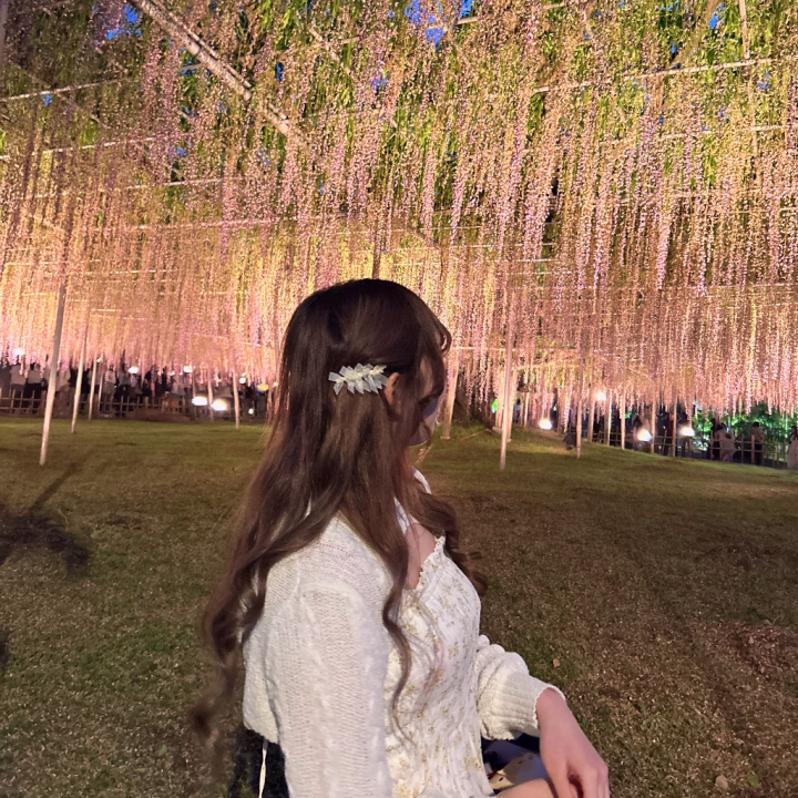 この前のお休みに藤の花を見に行ってきたよ💜
ふわっと甘い香りと綺麗な紫に癒されて、すごく幸せな時間でした…🥺✨

でももうゴールデンウィーク終わっちゃうの寂しいね🥲
みんなはどんなお休み過ごしたのかな？💭

今日は24:00までいるよ🫶
たくさん会いに来てくれたら嬉しいな…♡

あとね、この日の私服ちょっとお気に入りなんだけどどうかな？🥺
似合ってるって言ってもらえたらすごく嬉しいな…♡

会えたらいっぱいお話ししよ〜！待ってるね🥰