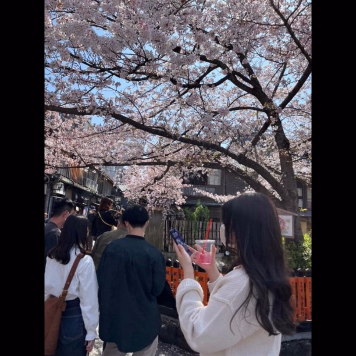 花見の予定空いてます🥺

春がそろそろ近づいてきたね🌸

今年はちゃんと花見行きたいな〜☺️

屋台つまみながら、のんびりするの憧れる🤍

春って気持ちも少し緩むよね😌

そんな空気、けっこう好き。

今日はそんな話もしながら、
ゆっくり過ごせたら嬉しいな🫶