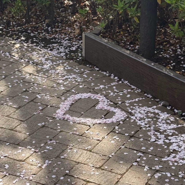 おはようございます🌸

本日7-15時でお部屋います🙋🏻‍♀️✨

まだあまり使い方がわかってなくて、メッセージいただいてる方徐々に返していきます>_<💦



今日も楽しい１日にしていこうねん🎶