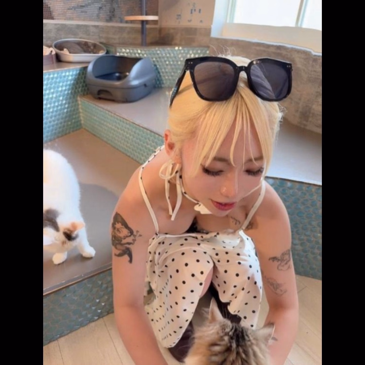 猫カフェ初めて💖🐈
 
 
よしよししてっ