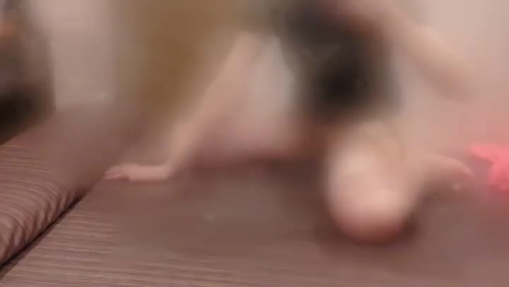 お部屋の温度が高すぎて......湯けむりM字開脚です😳

応援よろしくお願いします！