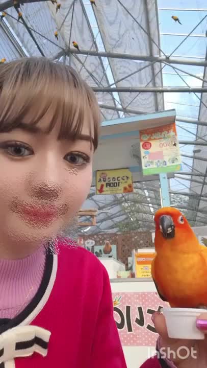 この前行った花鳥園❤️

インコ可愛すぎた❤️