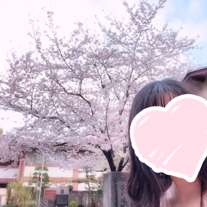 お花見の季節ですね🌸
明日出勤します💕
私も観に逢いにきてくれたら嬉しいな〜🤭