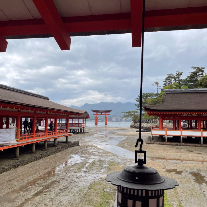 こんにちは。
こないだ厳島神社に行ってきました〜！
干潮時に行っちゃって、水がない！笑

おかしいと思ってたんですよ！
厳島神社って調べたら
満潮、干潮の時間めっちゃ検索候補にあがってくるの…

次回行く時は満潮時に行きたいと思います笑

でもすごく良かったので
お兄さま方も機会があればぜひ訪れて見てください✨

今日から5日間いるので
今月もよろしくお願いします🙇‍♀️